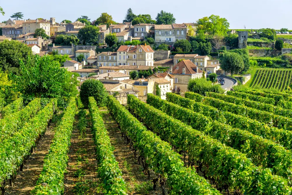 Village de Saint-Émilion au-dessus des rangs de vigne